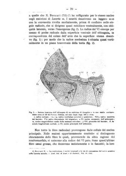 Monitore zoologico italiano