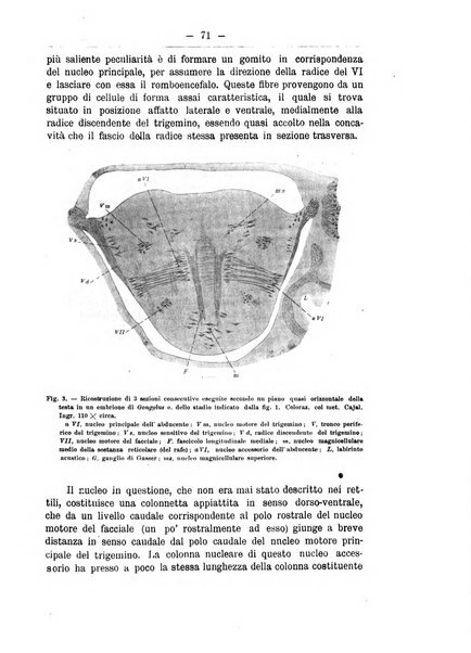 Monitore zoologico italiano