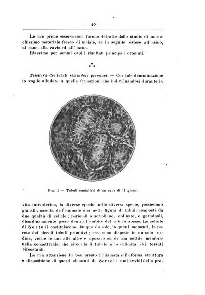 Monitore zoologico italiano