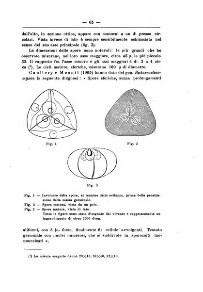 Monitore zoologico italiano