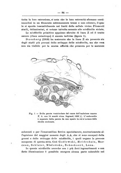 Monitore zoologico italiano