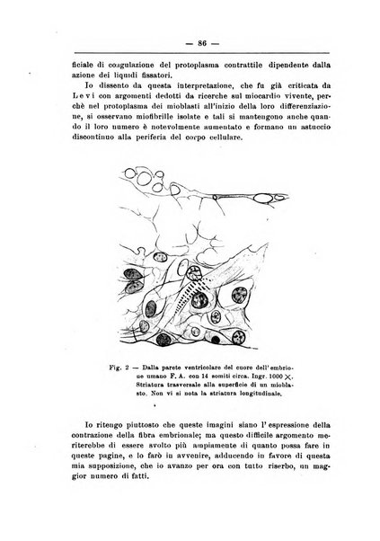 Monitore zoologico italiano