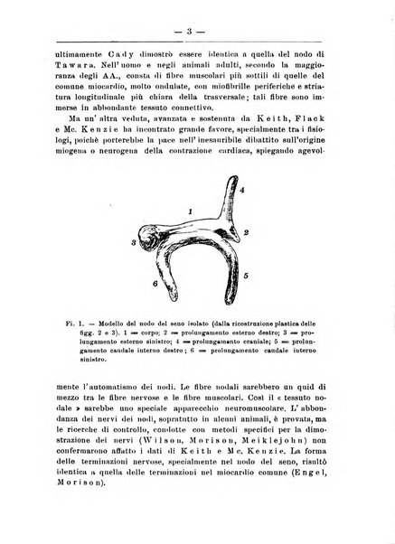 Monitore zoologico italiano