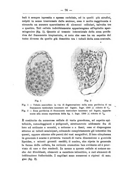 Monitore zoologico italiano