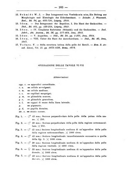 Monitore zoologico italiano