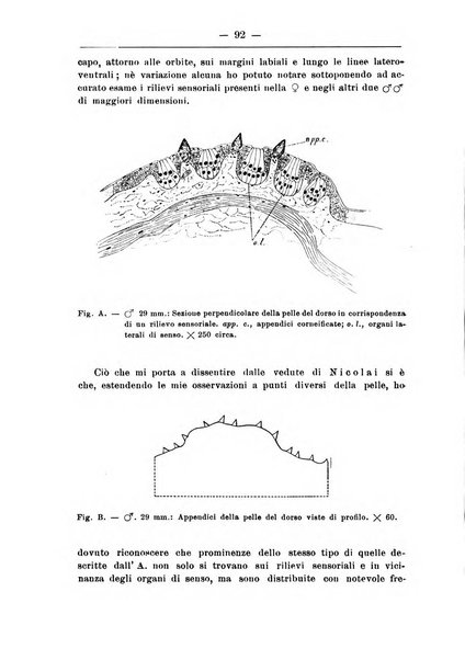 Monitore zoologico italiano