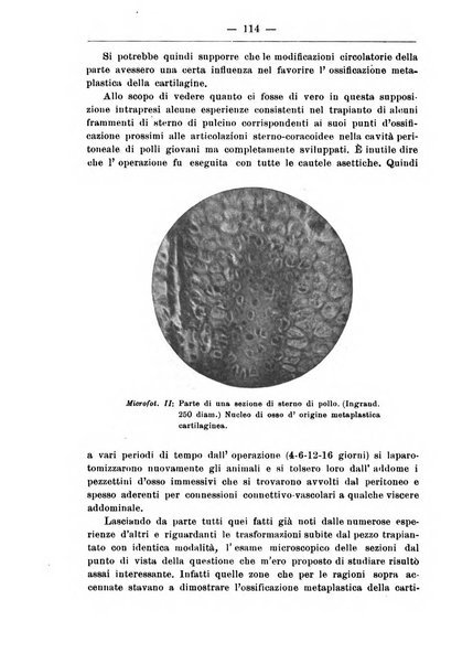 Monitore zoologico italiano