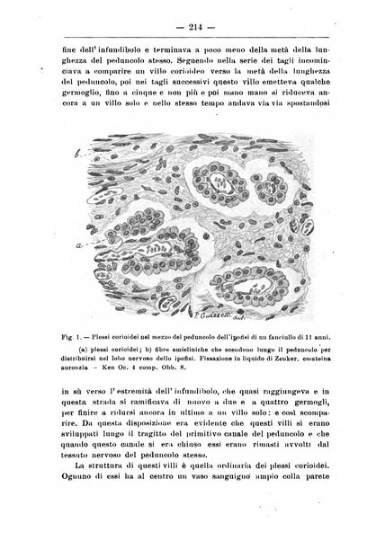 Monitore zoologico italiano