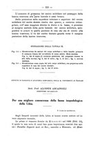 giornale/TO00014635/1924/unico/00000287