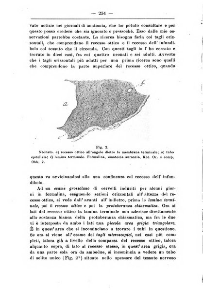 Monitore zoologico italiano