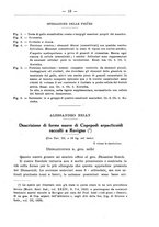giornale/TO00014635/1925-1926/unico/00000033