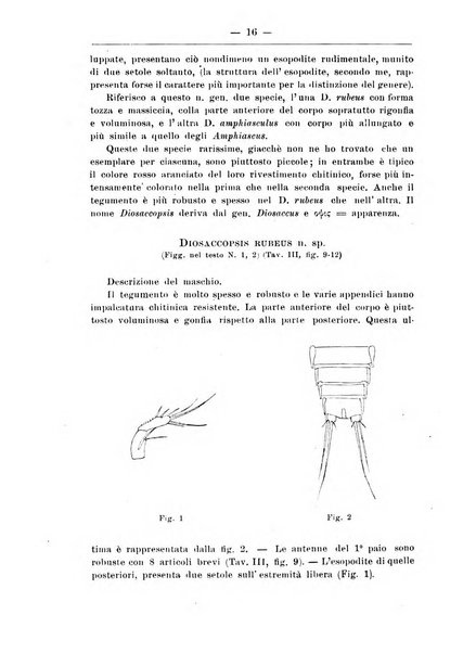 Monitore zoologico italiano