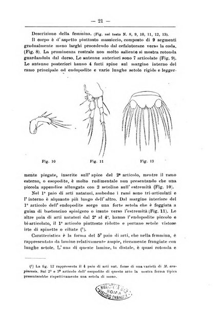 Monitore zoologico italiano