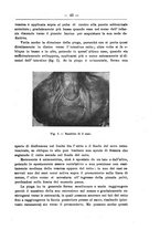 giornale/TO00014635/1925-1926/unico/00000067