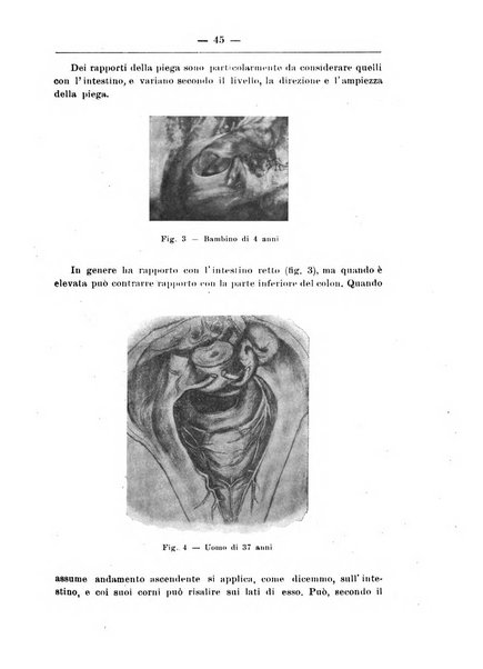 Monitore zoologico italiano