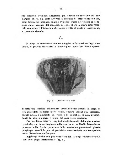 Monitore zoologico italiano