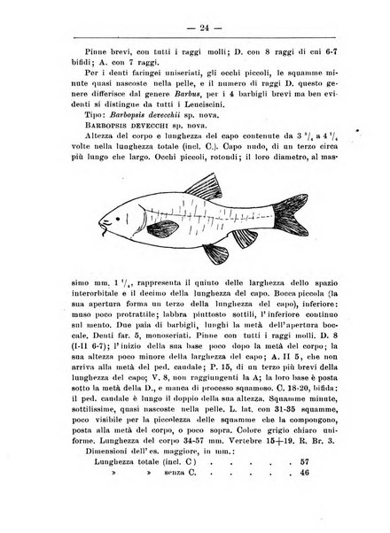 Monitore zoologico italiano