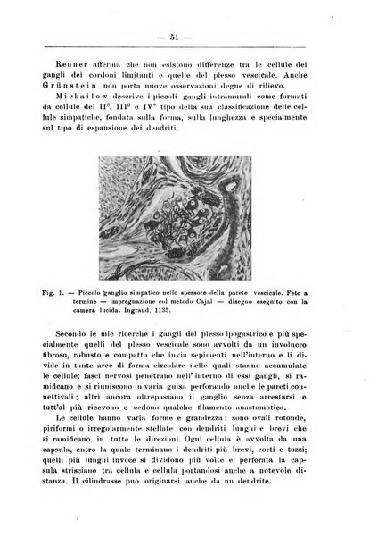 Monitore zoologico italiano