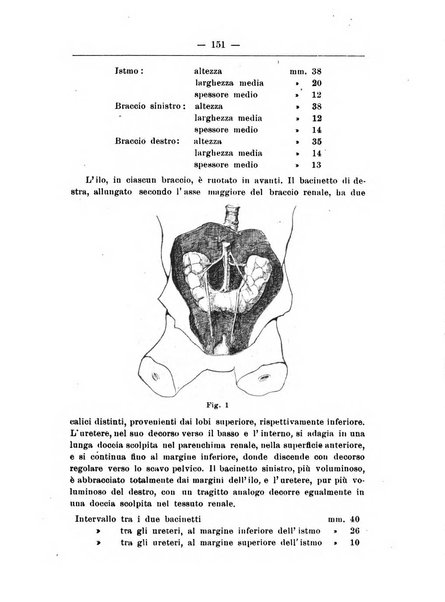 Monitore zoologico italiano