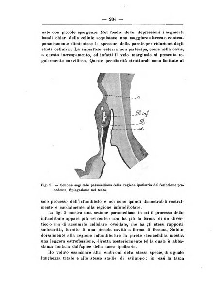 Monitore zoologico italiano