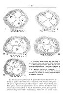 giornale/TO00014635/1927/unico/00000045