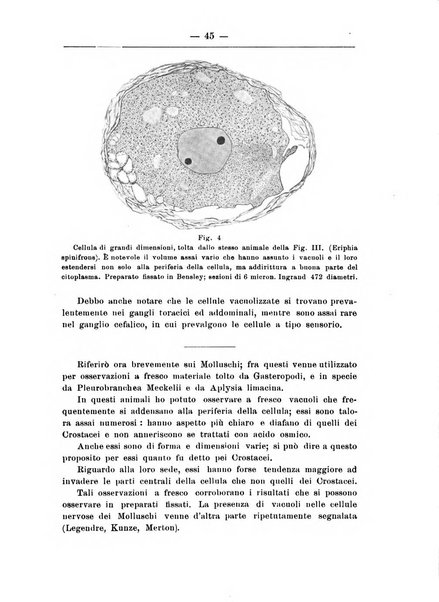 Monitore zoologico italiano