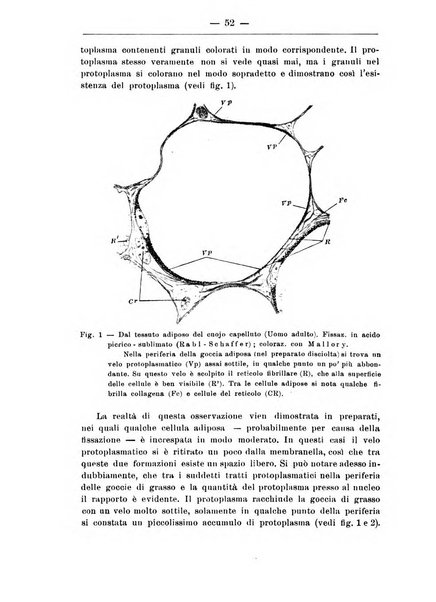 Monitore zoologico italiano