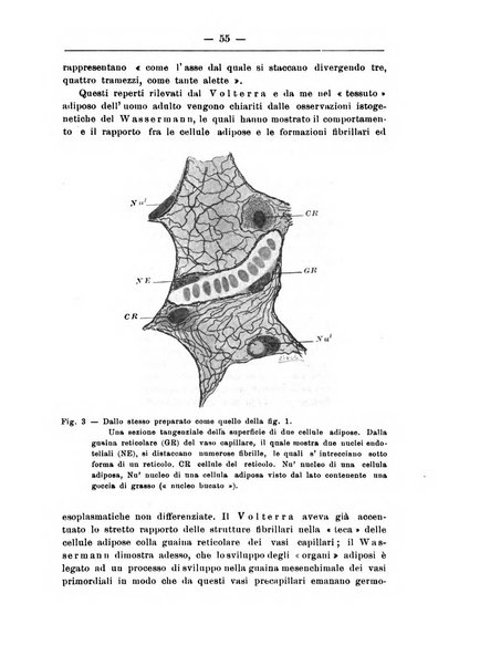 Monitore zoologico italiano