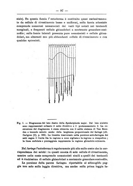 Monitore zoologico italiano