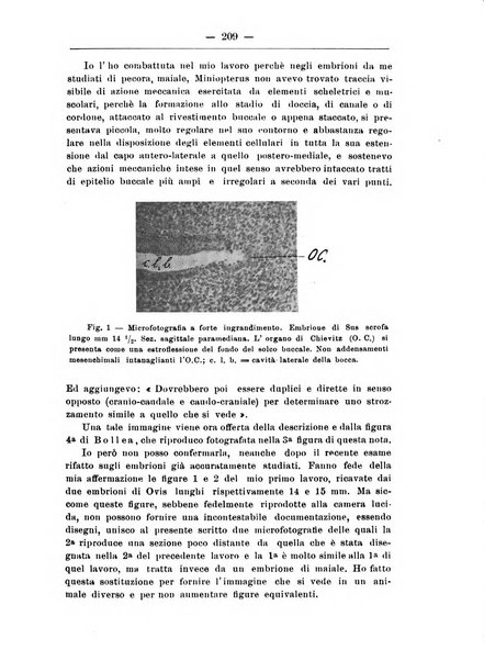 Monitore zoologico italiano