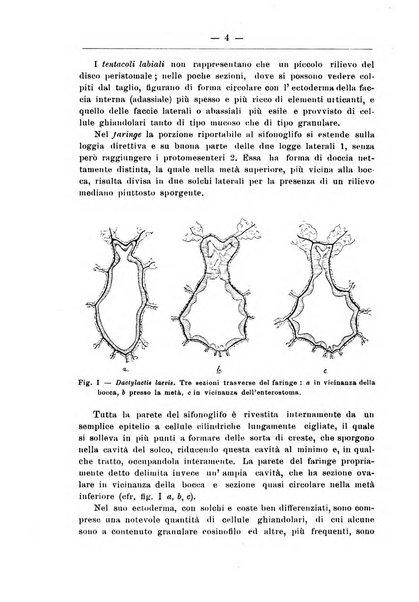 Monitore zoologico italiano