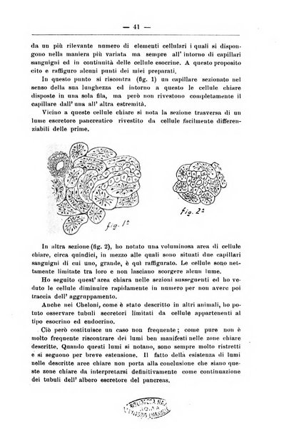 Monitore zoologico italiano