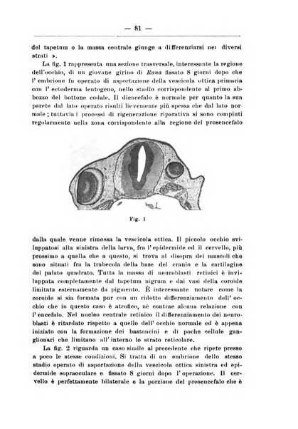 Monitore zoologico italiano