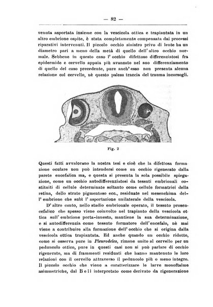 Monitore zoologico italiano