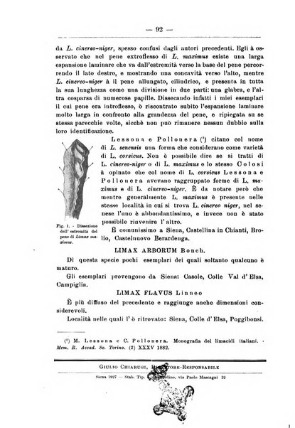 Monitore zoologico italiano