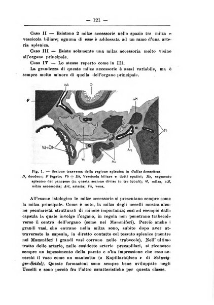 Monitore zoologico italiano