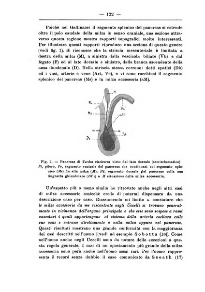 Monitore zoologico italiano