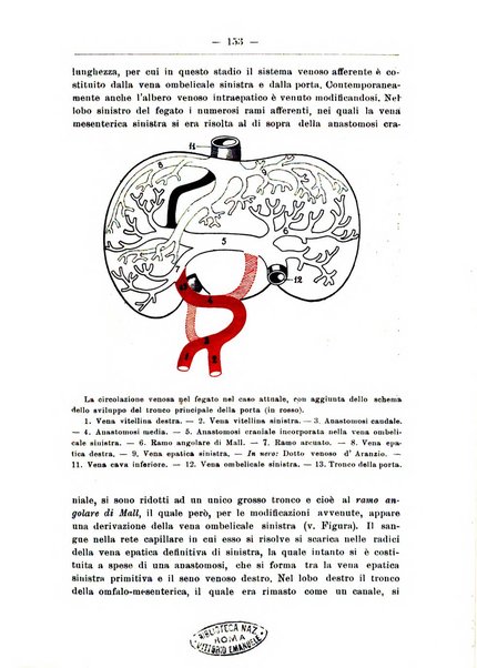 Monitore zoologico italiano