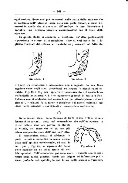 Monitore zoologico italiano