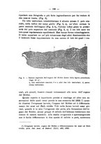 giornale/TO00014635/1928/unico/00000198