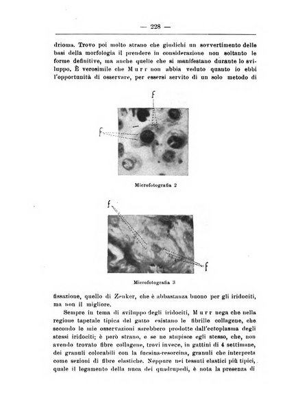 Monitore zoologico italiano