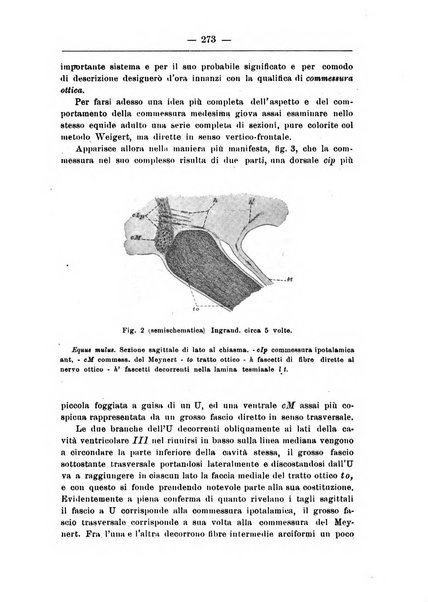 Monitore zoologico italiano