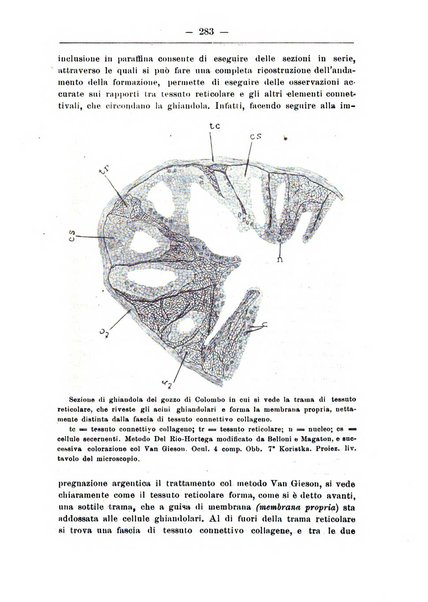 Monitore zoologico italiano