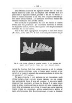 giornale/TO00014635/1928/unico/00000360