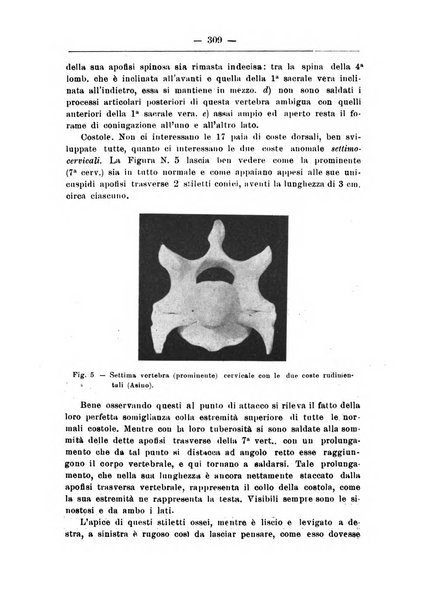 Monitore zoologico italiano