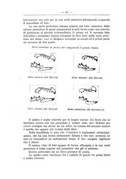 Monitore zoologico italiano