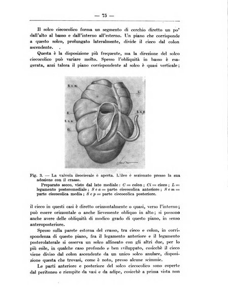 Monitore zoologico italiano