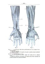 giornale/TO00014635/1929/unico/00000284