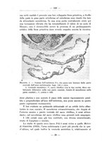 giornale/TO00014635/1929/unico/00000414