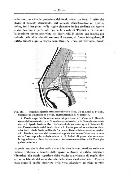 Monitore zoologico italiano